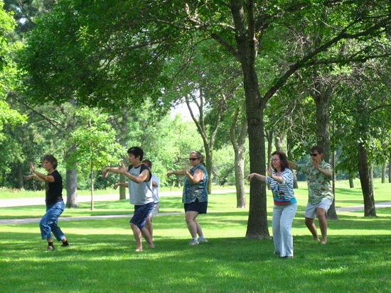 City of Lakes Tai Chi Single Whip